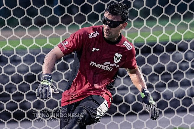 Karier di Timnas Indonesia