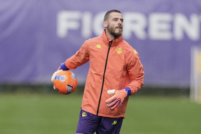 David de Gea David de Gea