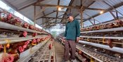 Dari PHK ke Peternak Telur Sukses: Jejak Langkah Cipto Mulyo Bersama KUR BRI Dari PHK ke Peternak Telur Sukses: Jejak Langkah Cipto Mulyo Bersama KUR BRI