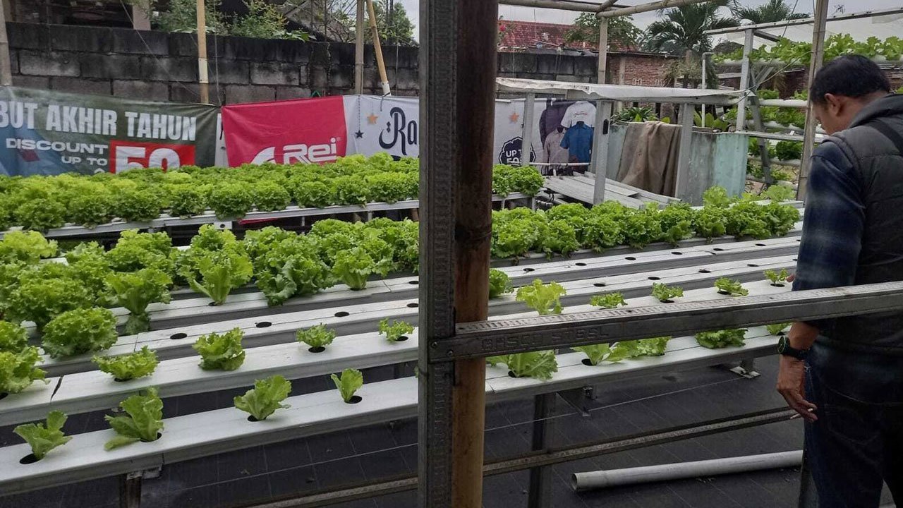 BRI Region 13 Malang Dukung Pengembangan Pertanian Modern dan Agrowisata di Desa Genengan Kabupaten Malang BRI Region 13 Malang Dukung Pengembangan Pertanian Modern dan Agrowisata di Desa Genengan Kabupaten Malang