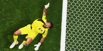 Nama Vozinha Diabadikan Jadi Nama Spesies Baru Usai Tampil Heroik di Piala Dunia 2026 Nama Vozinha Diabadikan Jadi Nama Spesies Baru Usai Tampil Heroik di Piala Dunia 2026