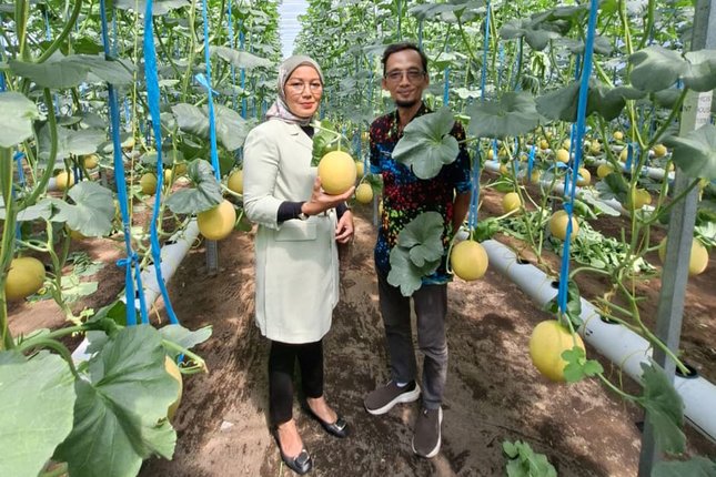 BRI Dorong Pengembangan Pertanian Modern dan Agrowisata Desa Genengan