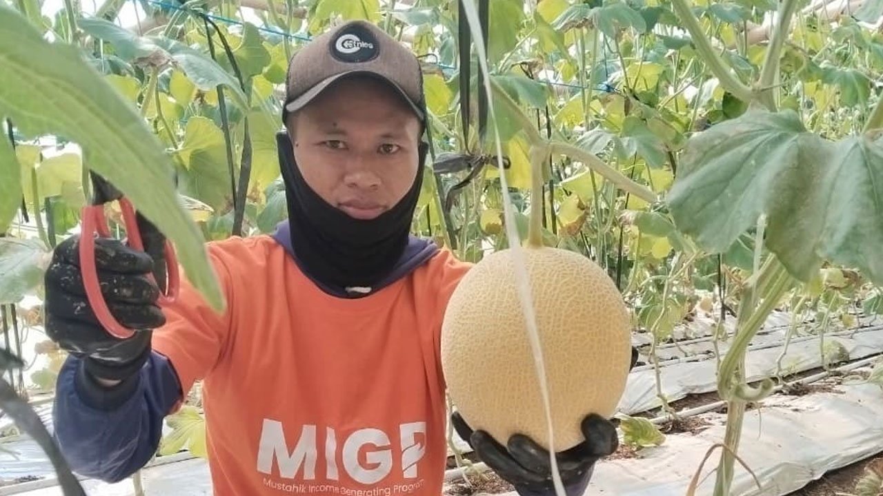 YBM BRILiaN SBO Malang Berdayakan Buruh Tani lewat Zakat Produktif, Hasilkan Lebih dari 5 Ton Melon YBM BRILiaN SBO Malang Berdayakan Buruh Tani lewat Zakat Produktif, Hasilkan Lebih dari 5 Ton Melon